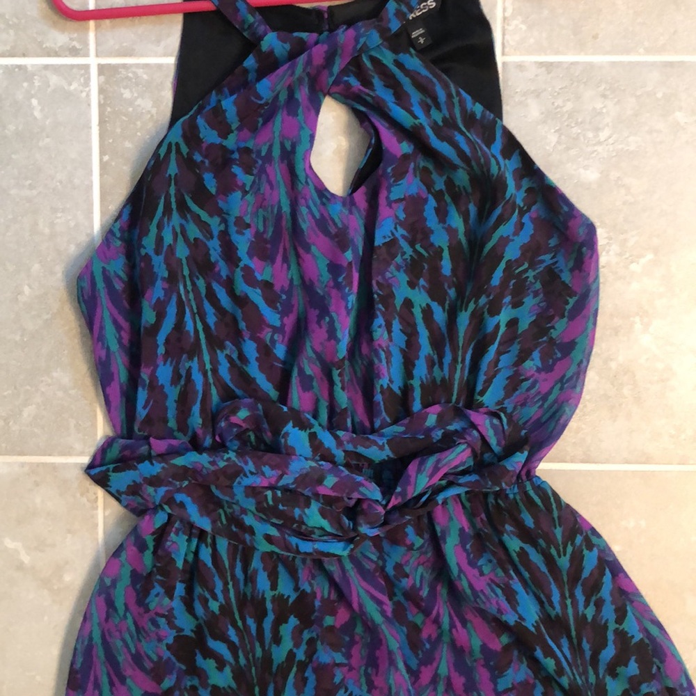 Express Dress - Picture 5 of 5